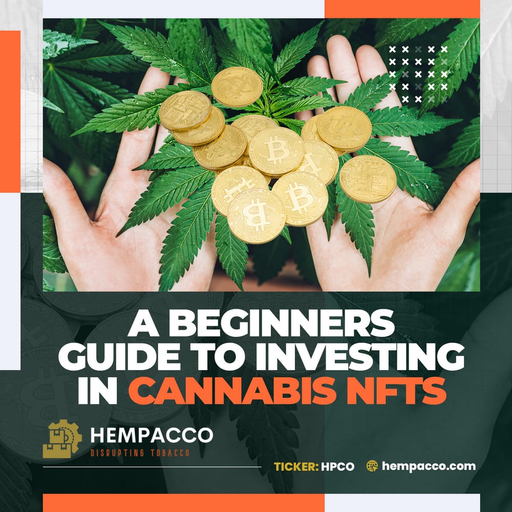 Cannabis NFTs: A Beginner’s Guide to digital assets investment