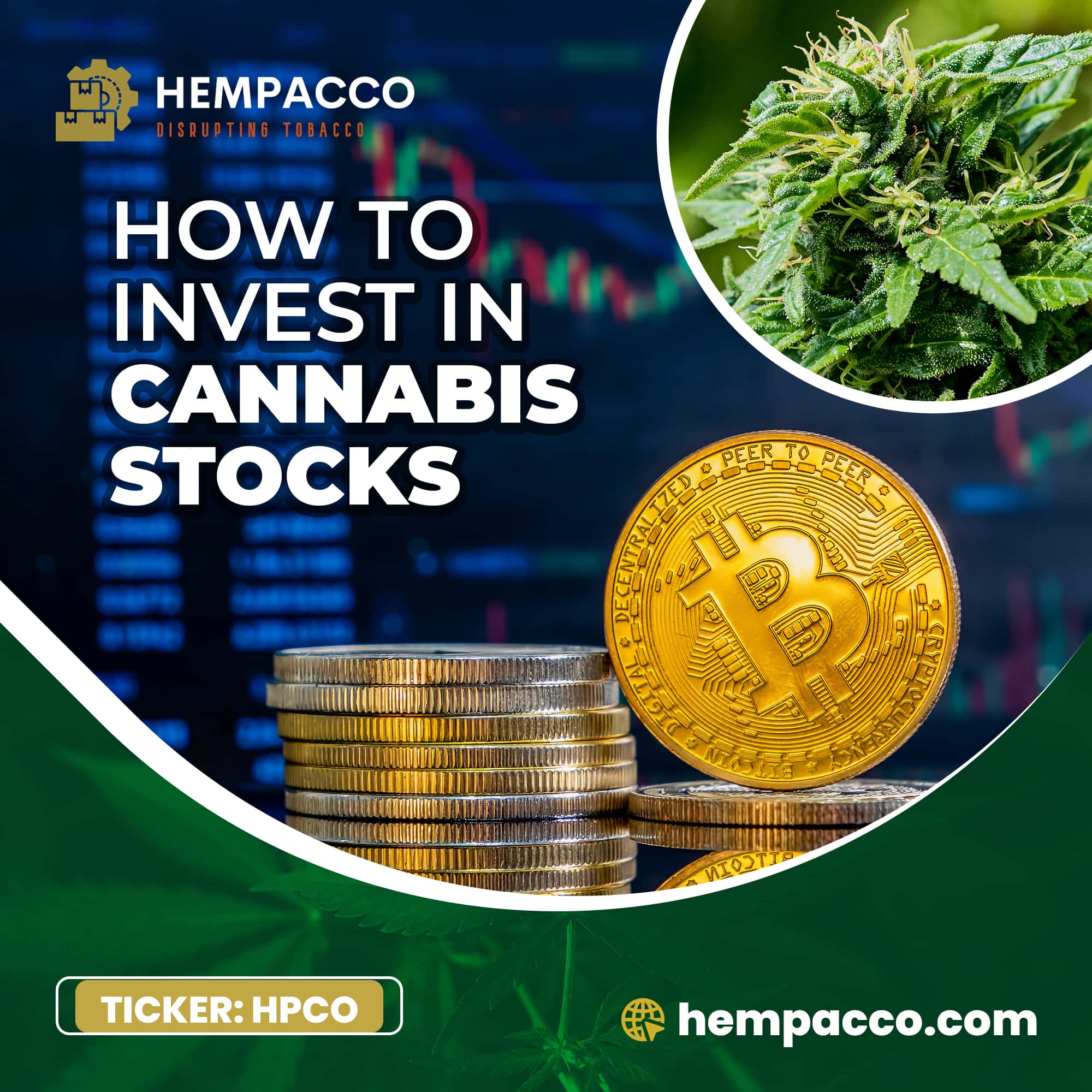 How to Invest in Cannabis Stocks: The Expert’s Guide
